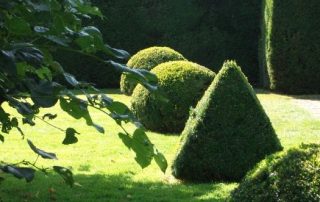 Formal gardens