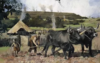 Neolithic Ploughing using Oxen