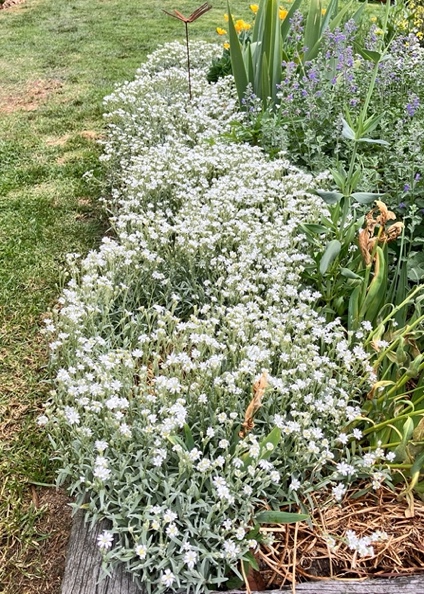 Garden Decoration