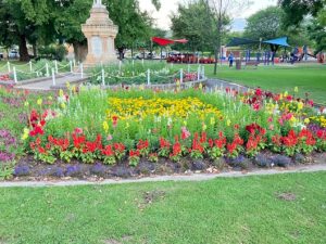 Garden Decoration